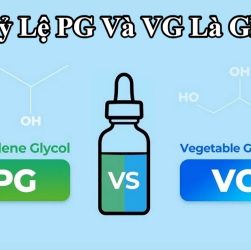 Tỷ lệ PG và VG là gì