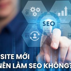 website mới có nên làm SEO
