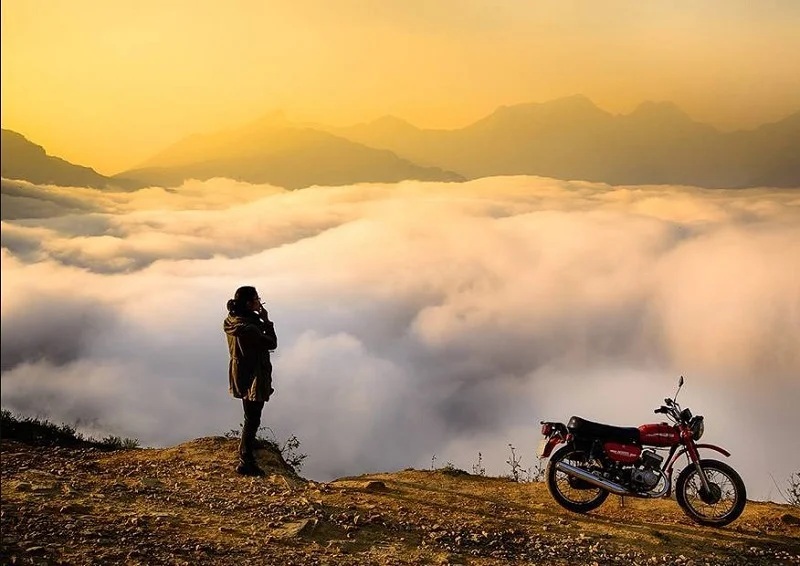 Sapa