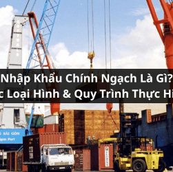 nhập khẩu chính ngạch