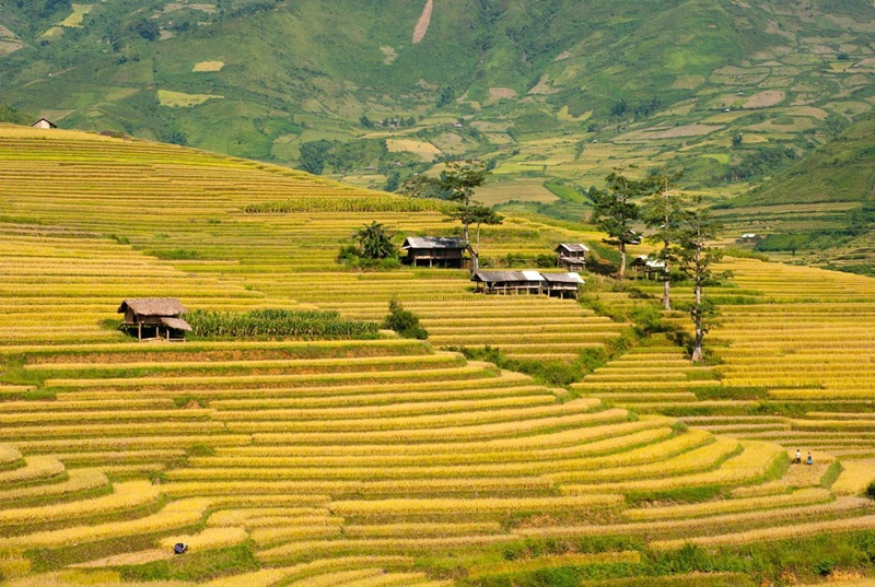 mùa thu tây bắc