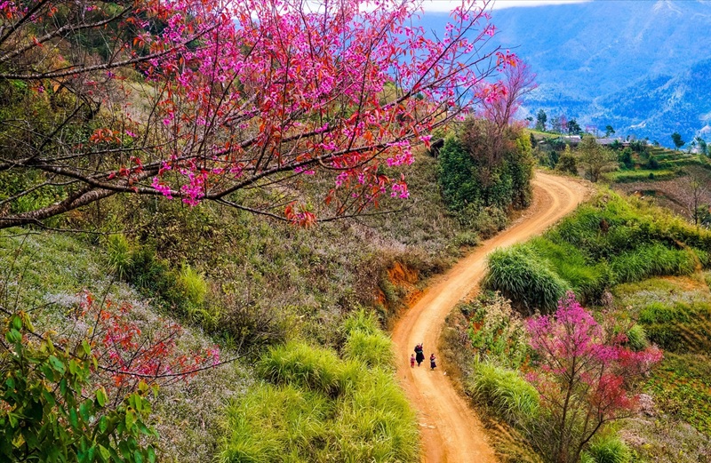 mùa xuân tây bắc