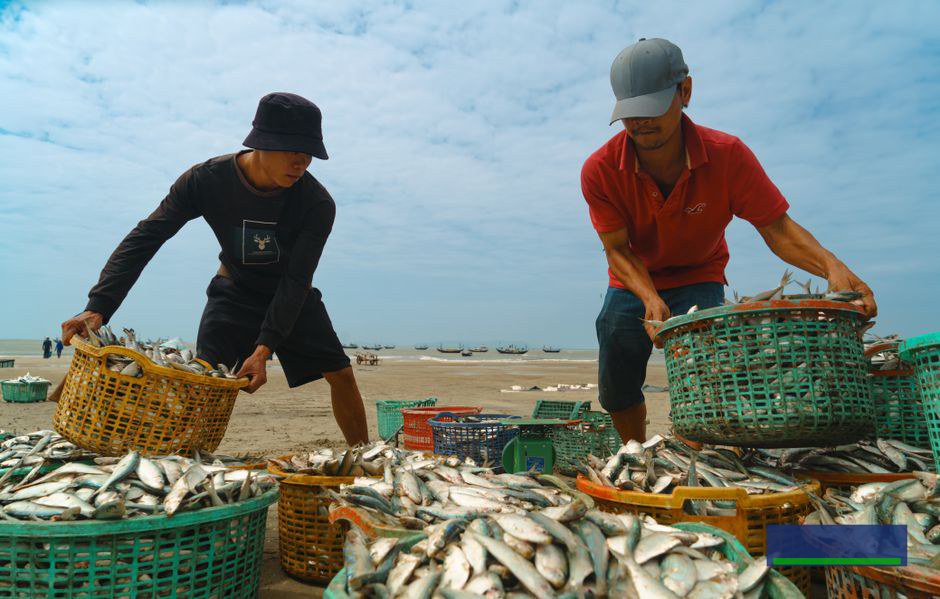 Phân loại chi phí: SaaS, triển khai, dữ liệu và đào tạo Phân loại chi phí: SaaS, triển khai, dữ liệu và đào tạo